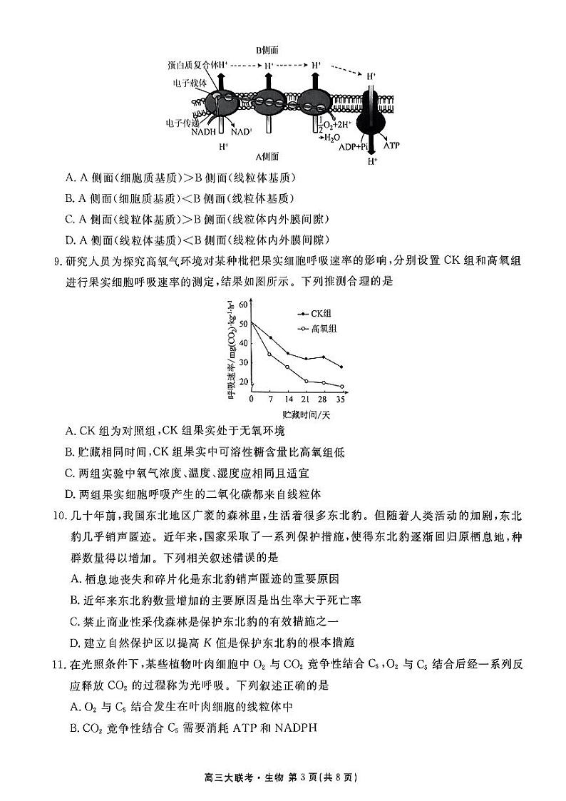 广东省2022-2023学年高三上学期10月大联考生物试题PDF版无答案第3页