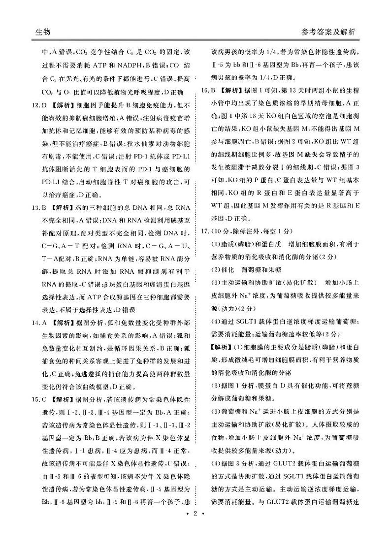 生物答案第2页