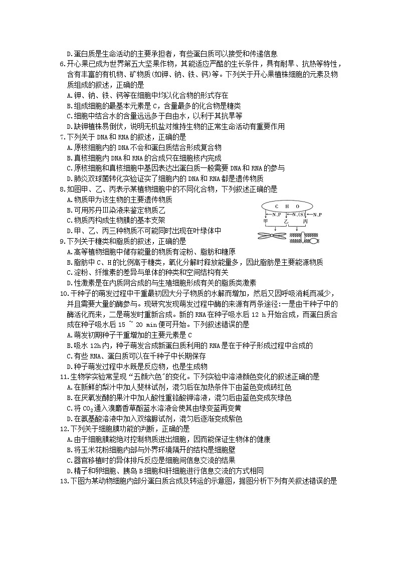 2022太原高三上学期期中检测生物试题02