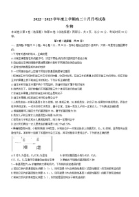 2023张掖某重点校高三上学期10月月考生物试题缺答案