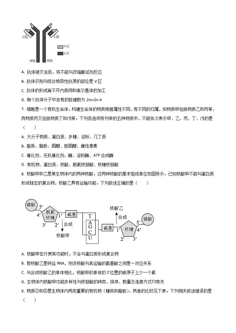 2023安徽省示范高中高三上学期第二次联考生物试题含答案第3页