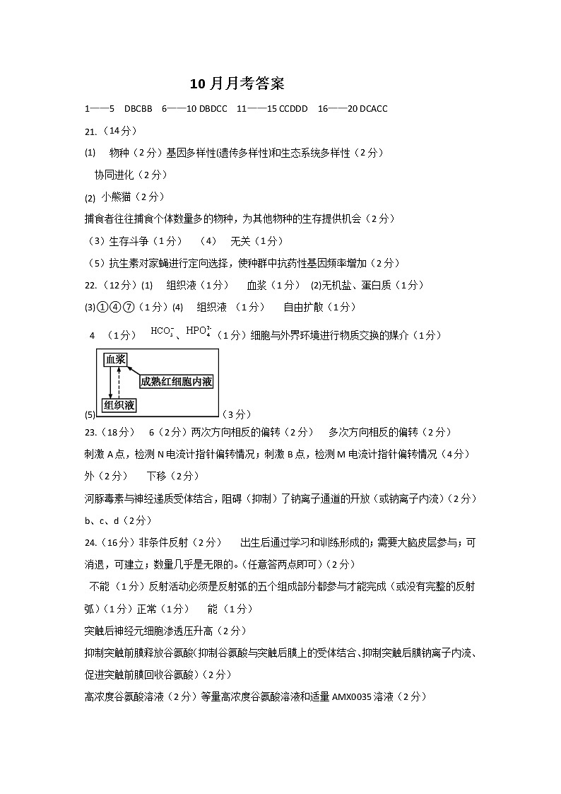 2023武汉部分重点中学高二上学期10月联考试题生物PDF版含答案（可编辑）01