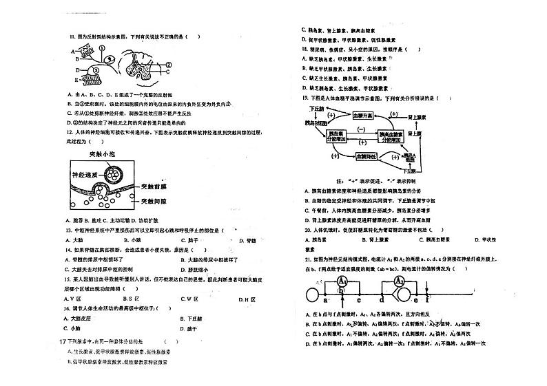 2023天津武清区南蔡村中学高二上学期10月月考生物试题含答案02