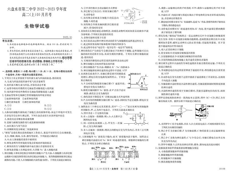 2023六盘水二中高二上学期10月月考生物试题PDF版缺答案第1页