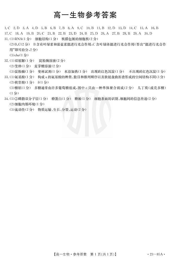 2023广东省高一上学期10月联考生物试题PDF版含答案01