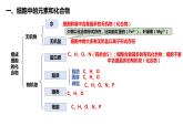 第2章 组成细胞的分子（复习课件）-2022-2023学年高一生物上学期期中期末考点大串讲