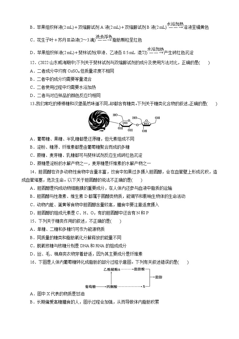 第2章 组成细胞的分子（测试卷）-2022-2023学年高一生物上学期期中期末考点大串讲03
