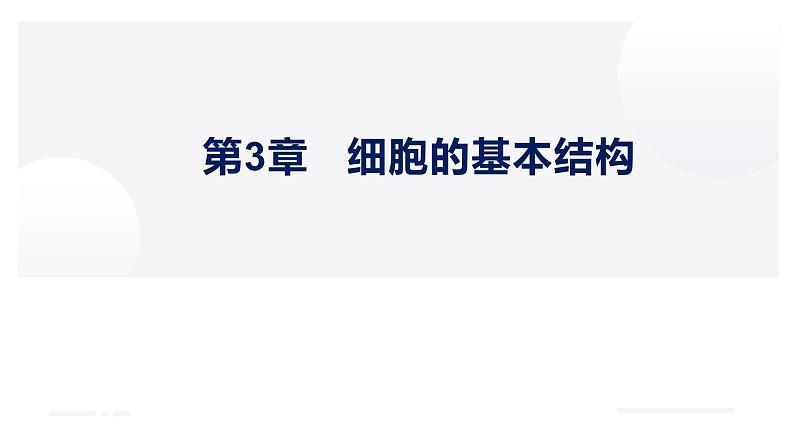 第3章 细胞的基本结构（复习课件）-2022-2023学年高一生物上学期期中期末考点大串讲01