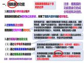 第3章 细胞的基本结构（复习课件）-2022-2023学年高一生物上学期期中期末考点大串讲