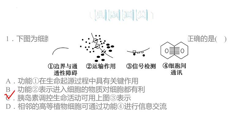 第3章 细胞的基本结构（复习课件）-2022-2023学年高一生物上学期期中期末考点大串讲04