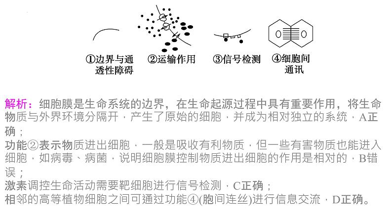 第3章 细胞的基本结构（复习课件）-2022-2023学年高一生物上学期期中期末考点大串讲05