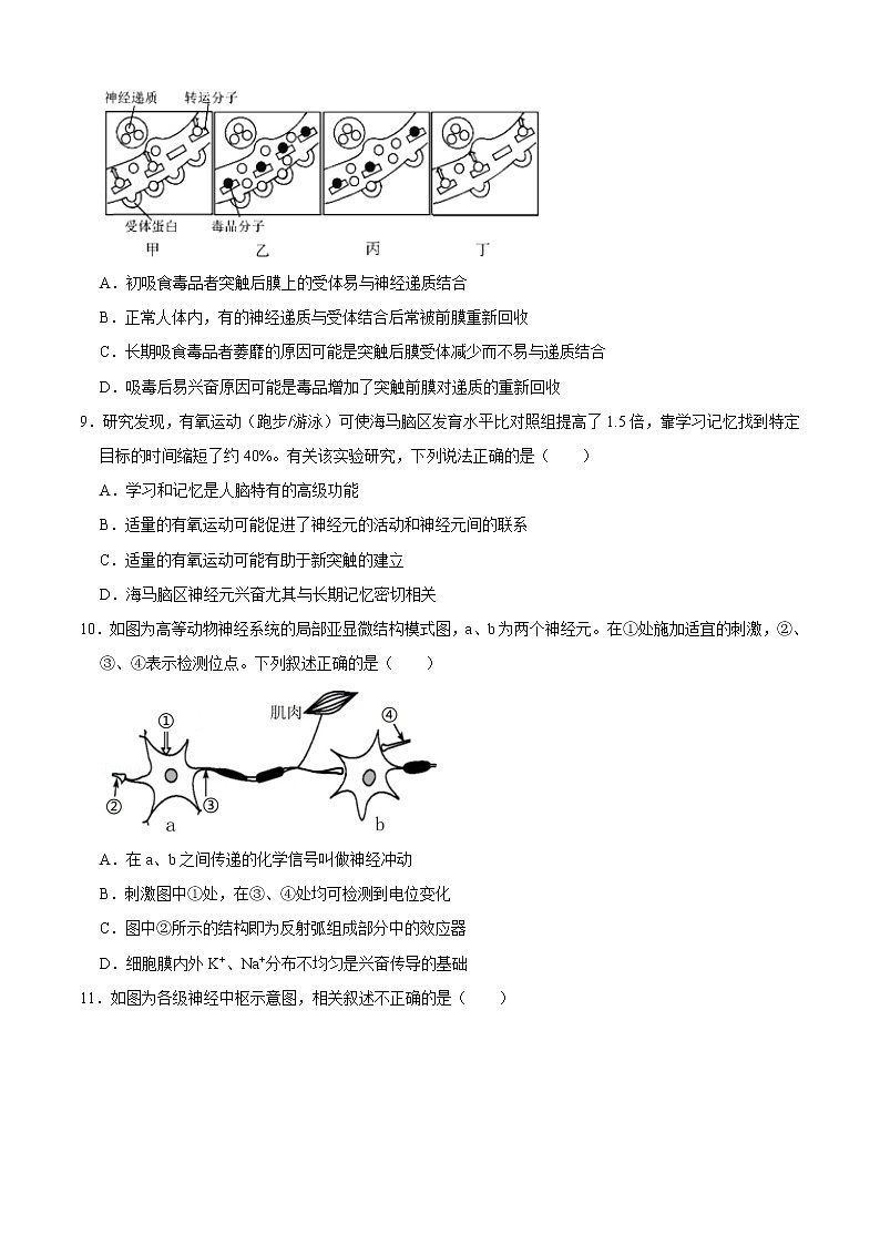 期中冲刺卷02-2022-2023学年高二生物上学期期中期末考点大串讲03