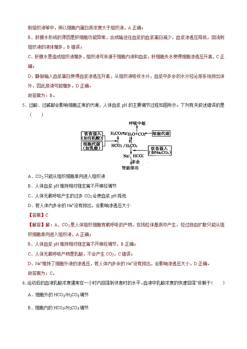 第1章 人体的内环境与稳态（测试卷）-2022-2023学年高二生物上学期期中期末考点大串讲03