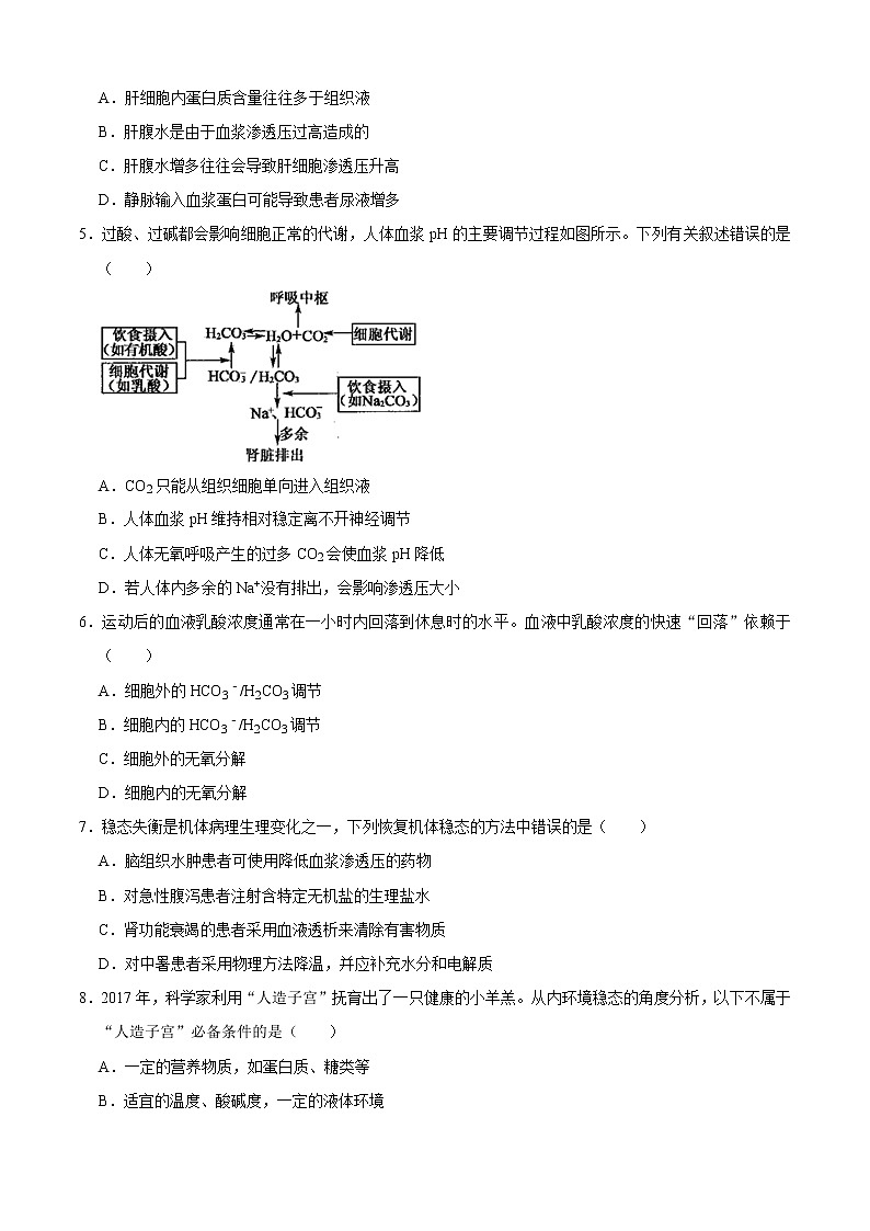 第1章 人体的内环境与稳态（测试卷）-2022-2023学年高二生物上学期期中期末考点大串讲02