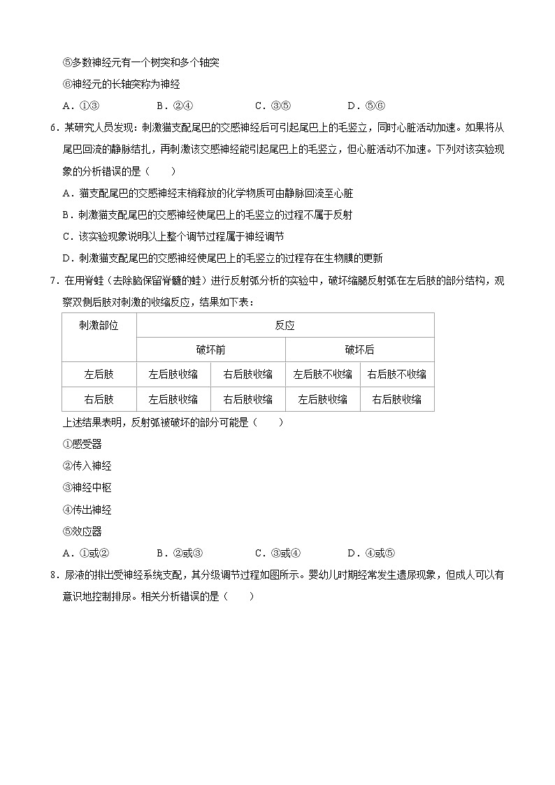 第2章 神经调节（测试卷）-2022-2023学年高二生物上学期期中期末考点大串讲02