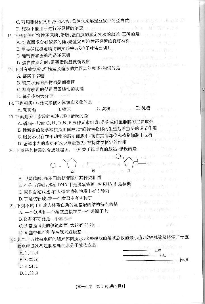 生物第3页