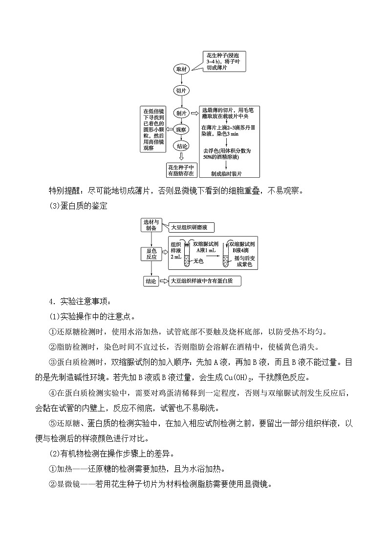【培优分级练】高中生物(人教版2019)必修第一册 2.1《细胞中的元素和化合物》同步分级练（原卷版）第3页