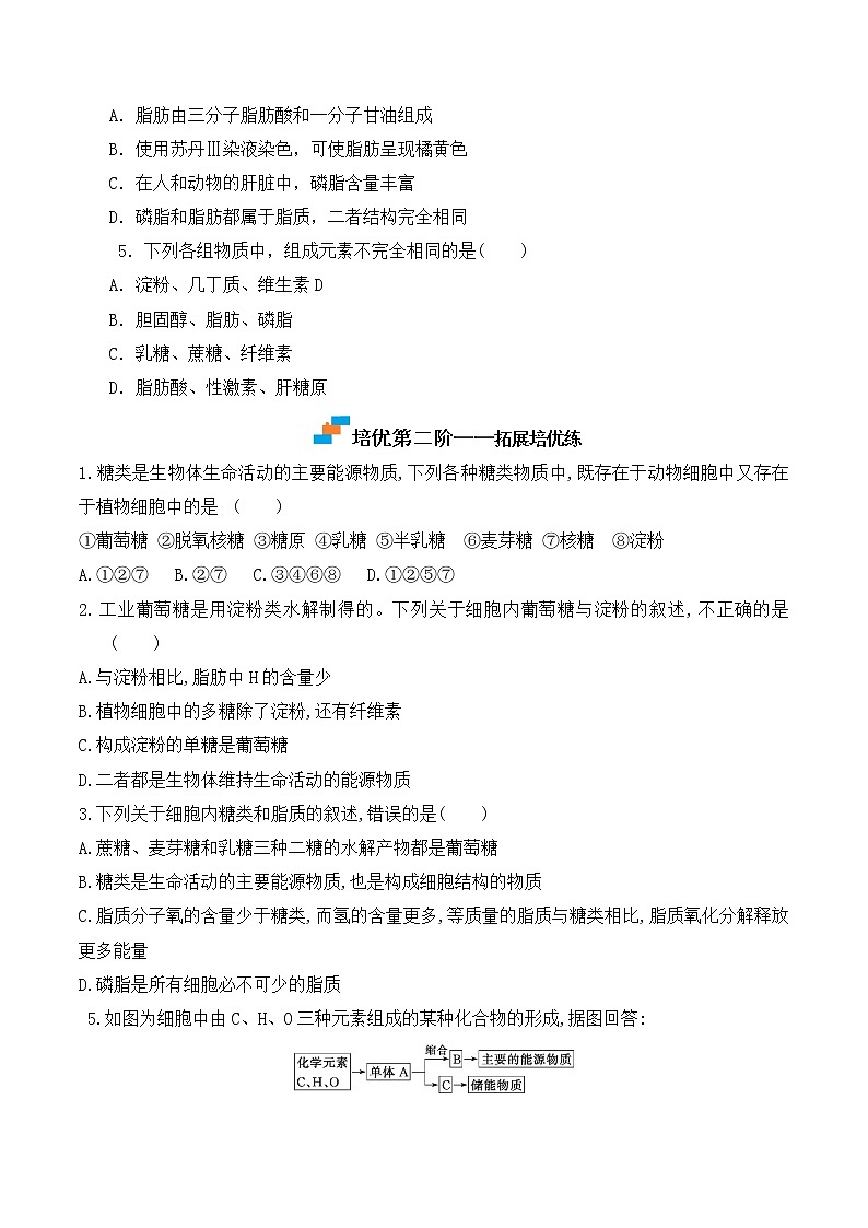 【培优分级练】高中生物(人教版2019)必修第一册 2.3《细胞中的糖类和脂质》同步分级练（原卷版）第3页