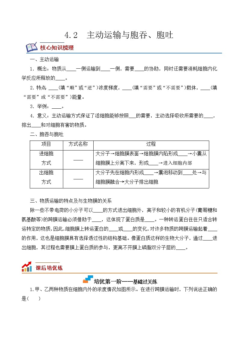 【培优分级练】高中生物(人教版2019)必修第一册 4.2《主动运输与胞吞、胞吐》同步分级练（原卷版）第1页