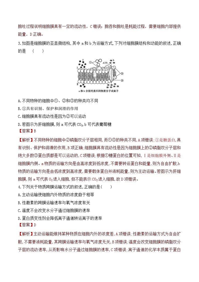【培优分级练】高中生物(人教版2019)必修第一册 4.2《主动运输与胞吞、胞吐》同步分级练（解析版）第3页