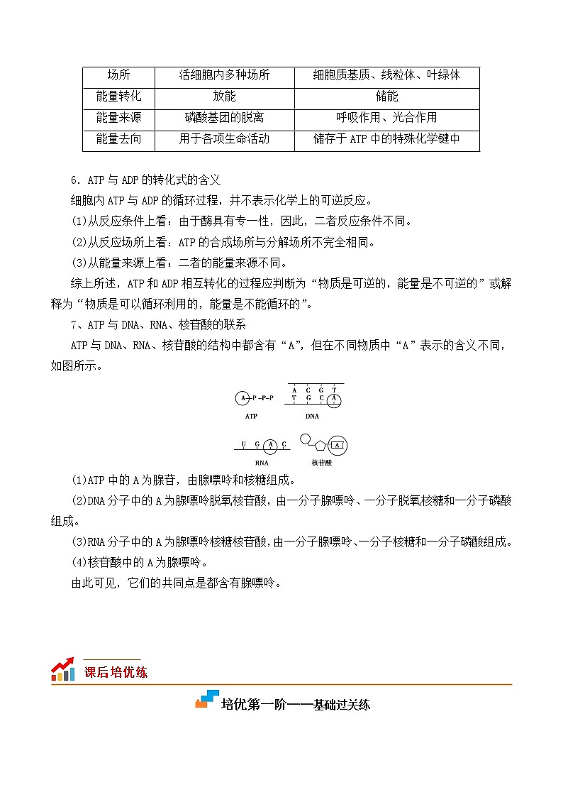 【培优分级练】高中生物(人教版2019)必修第一册 5.2《细胞的能量货币“ATP”》同步分级练（解析版）第2页