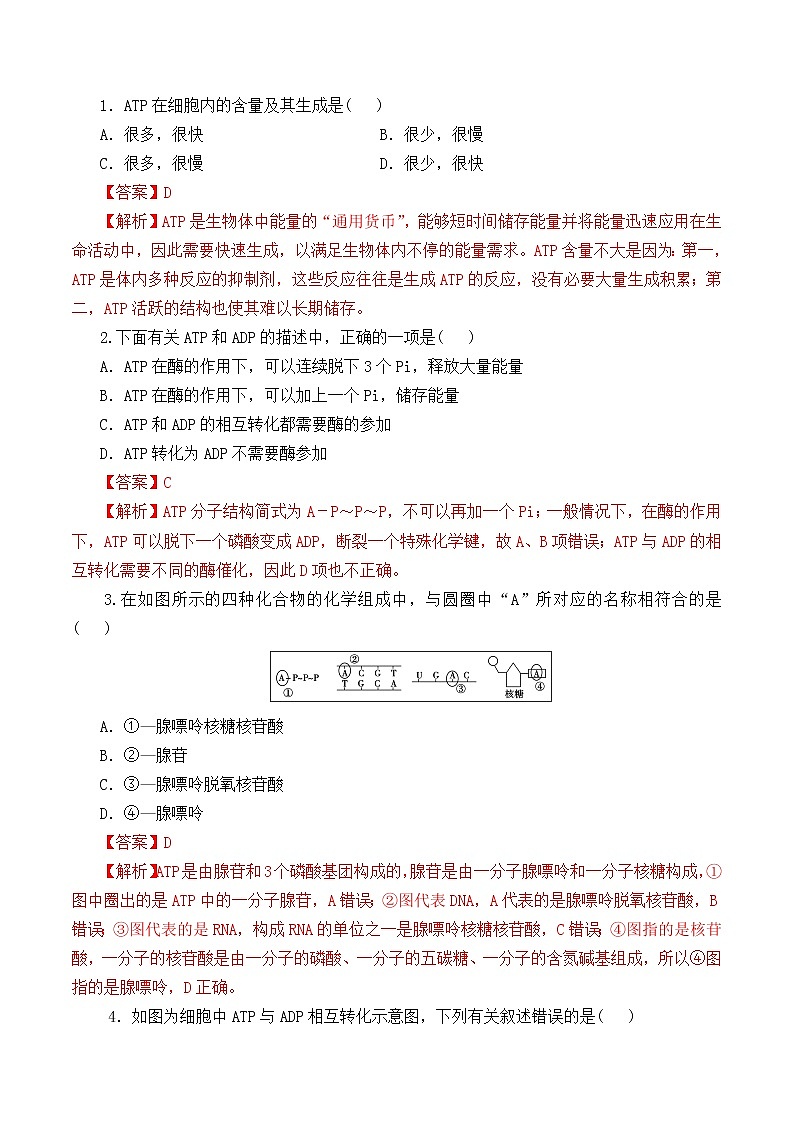 【培优分级练】高中生物(人教版2019)必修第一册 5.2《细胞的能量货币“ATP”》同步分级练（解析版）第3页