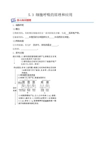 2021学年第3节 细胞呼吸的原理和应用同步训练题