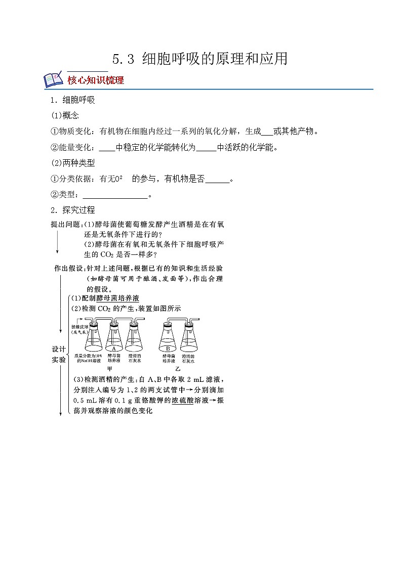 【培优分级练】高中生物(人教版2019)必修第一册 5.3《细胞呼吸的原理和应用》同步分级练（原卷版）第1页