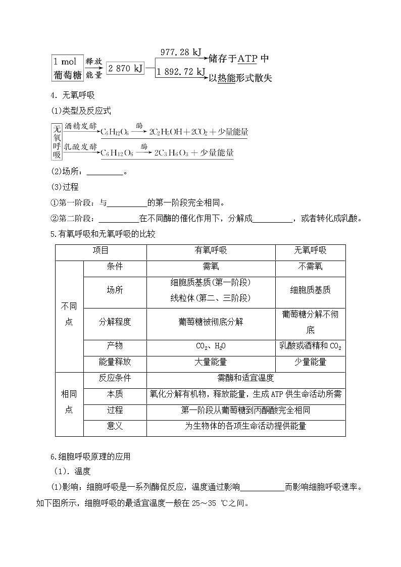 【培优分级练】高中生物(人教版2019)必修第一册 5.3《细胞呼吸的原理和应用》同步分级练（原卷版）第3页