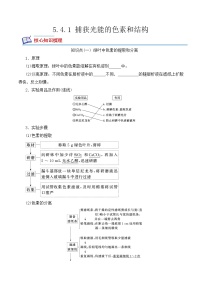 2020-2021学年一 捕获光能的色素和结构当堂达标检测题