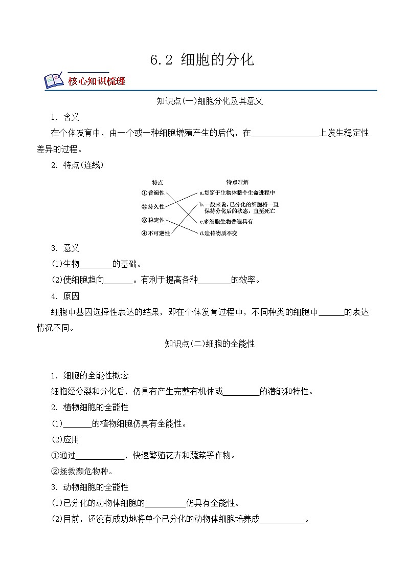 【培优分级练】高中生物(人教版2019)必修第一册 6.2《细胞的分化》同步分级练（原卷版）第1页