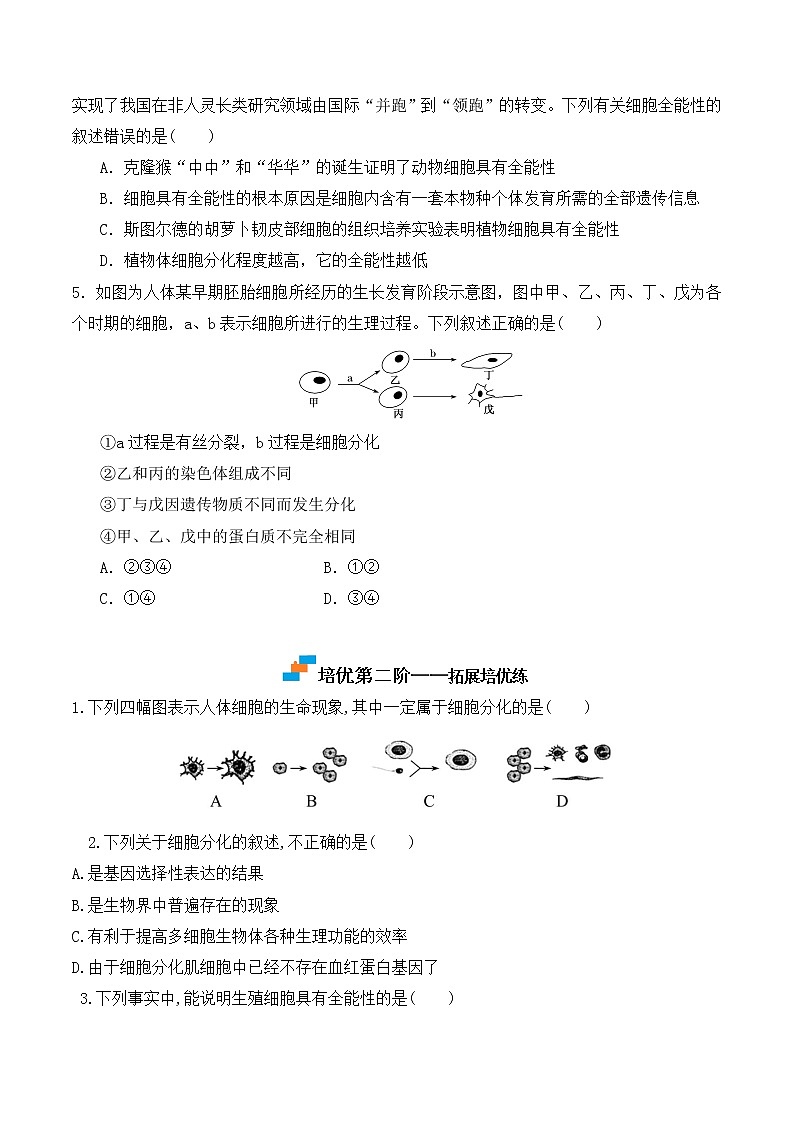 【培优分级练】高中生物(人教版2019)必修第一册 6.2《细胞的分化》同步分级练（原卷版）第3页