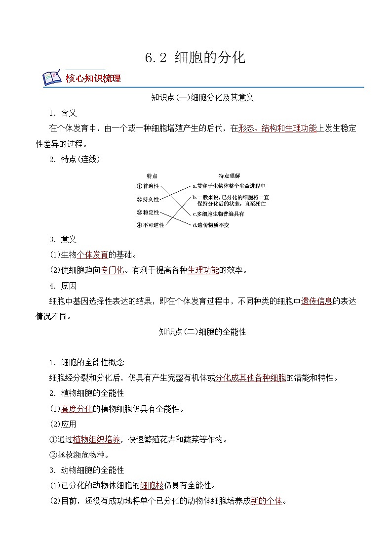 【培优分级练】高中生物(人教版2019)必修第一册 6.2《细胞的分化》同步分级练（解析版）第1页