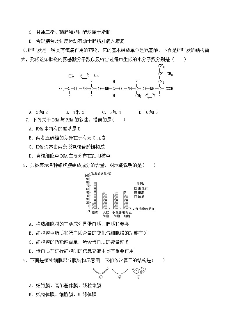 【培优分级练】高中生物(人教版2019)必修第一册 期末预测卷（一）（含解析）-全册综合02