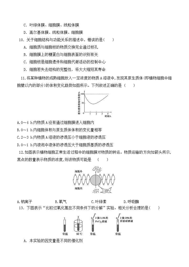 【培优分级练】高中生物(人教版2019)必修第一册 期末预测卷（一）（含解析）-全册综合03
