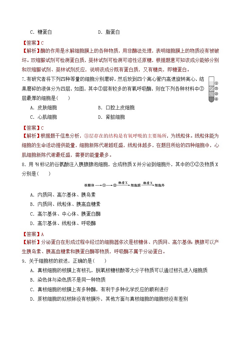 【培优分级练】高中生物(人教版2019)必修第一册 期末预测卷（二）（含解析）-全册综合03