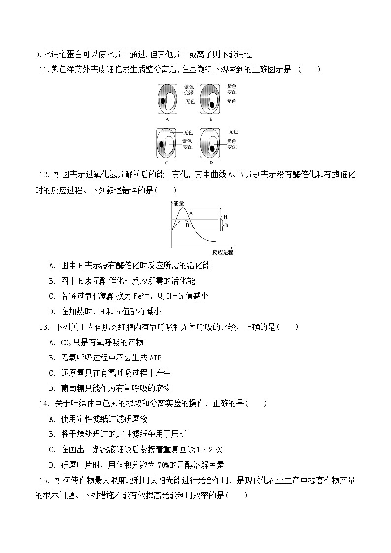 【培优分级练】高中生物(人教版2019)必修第一册 期末预测卷（二）（含解析）-全册综合03