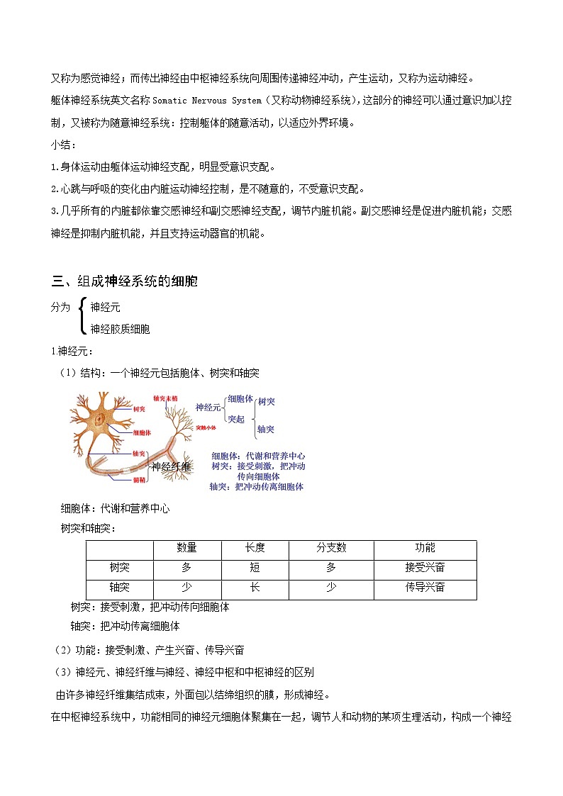 【培优分级练】高中生物(人教版2019)选择性必修第一册 2.1《神经调节的结构基础》同步分级练（解析版）第3页