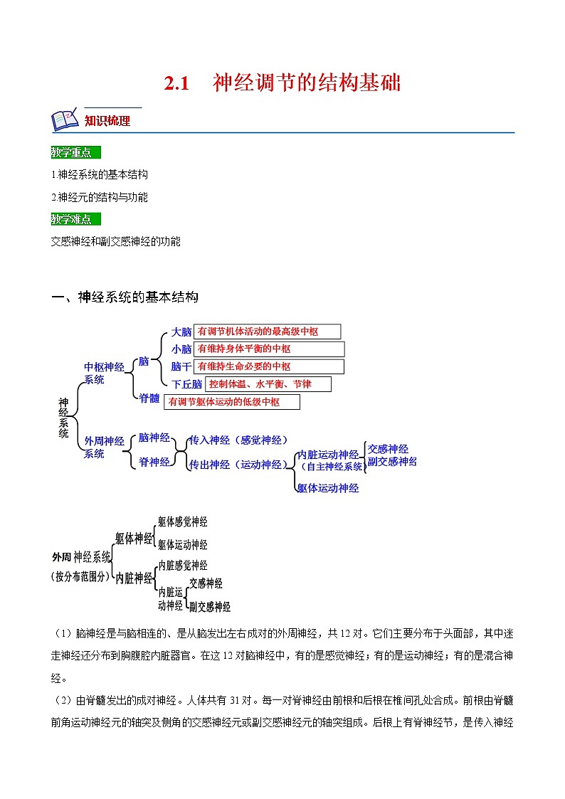 【培优分级练】高中生物(人教版2019)选择性必修第一册 2.1《神经调节的结构基础》同步分级练（原卷版）第1页