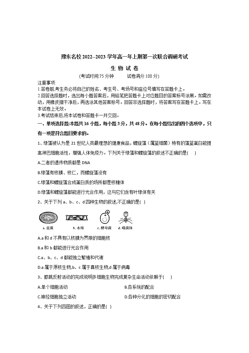 河南省豫东名校2022-2023学年高一上学期第一次联合调研考试生物试卷(含答案)第1页