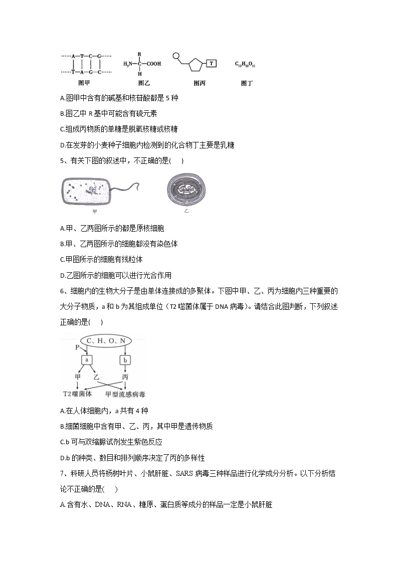 河南省豫东名校2022-2023学年高一上学期第一次联合调研考试生物试卷(含答案)02