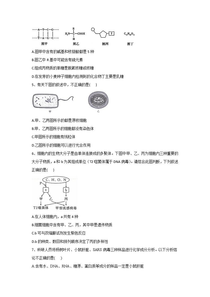 河南省豫东名校2022-2023学年高一上学期第一次联合调研考试生物试卷(含答案)第2页