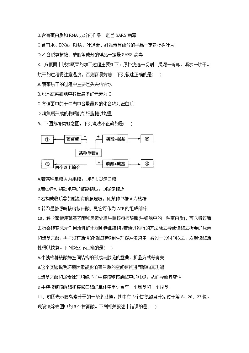 河南省豫东名校2022-2023学年高一上学期第一次联合调研考试生物试卷(含答案)第3页