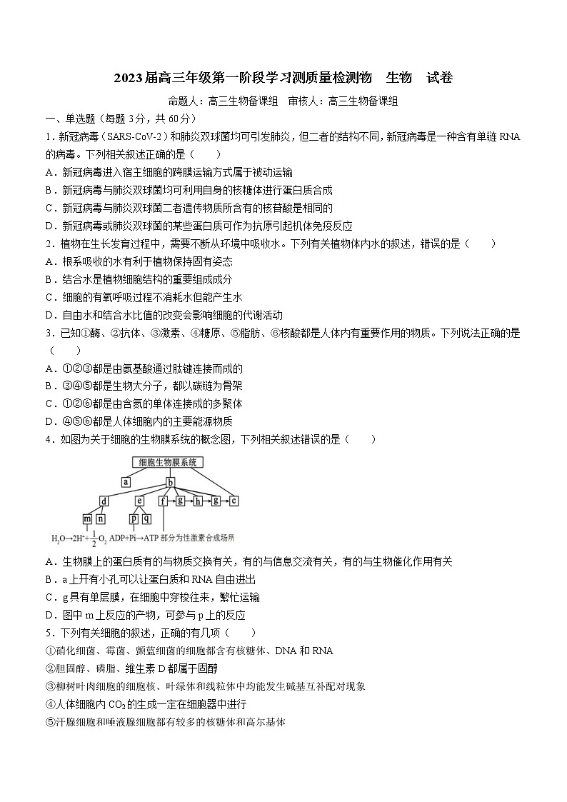 天津市实验中学2022-2023学年高三上学期第一阶段学习质量检测生物试题(含答案)第1页