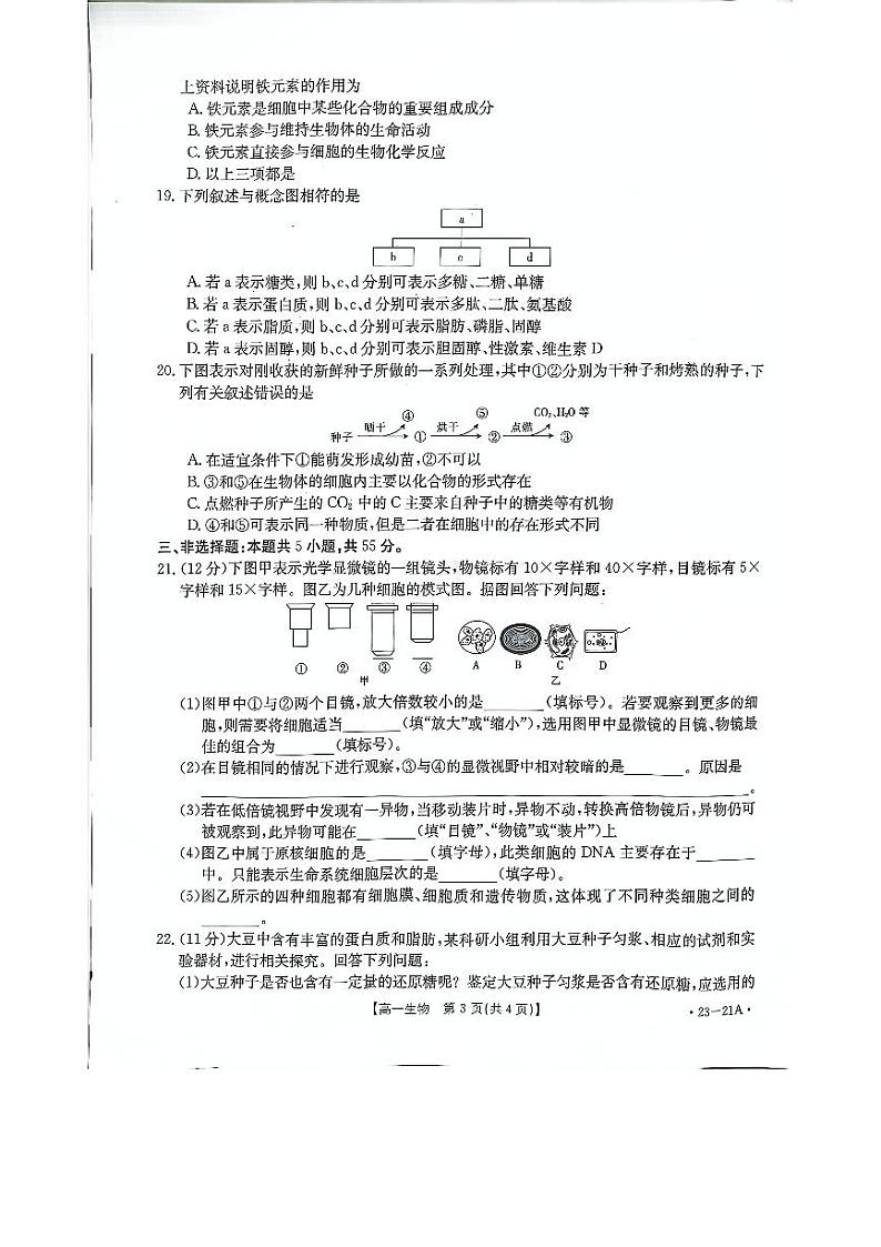 河南省创新联盟2022-2023学年高一生物上学期第一次联考试题（PDF版附解析）第3页