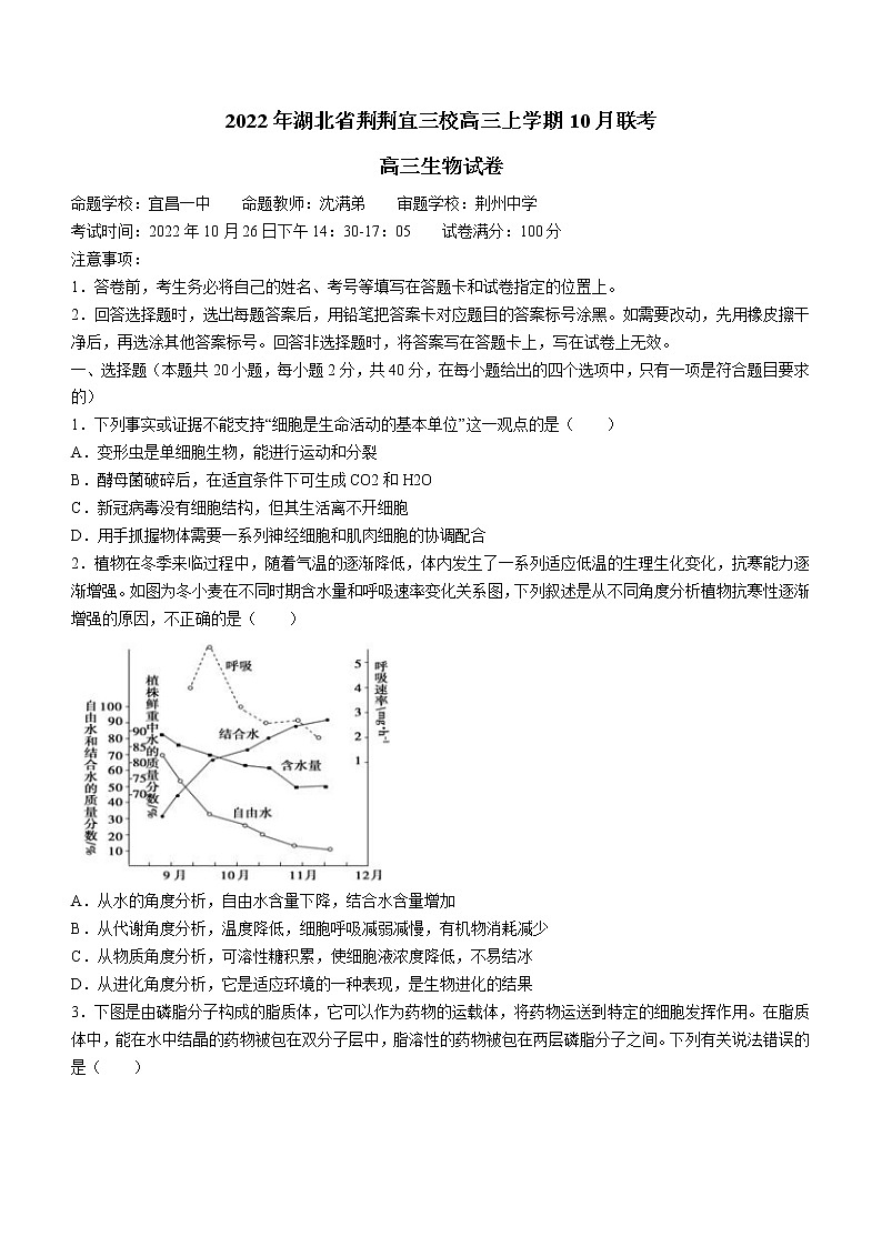 2023湖北省荆荆宜三校高三上学期10月联考生物试题含解析第1页