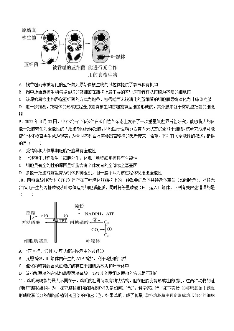 2023湖北省荆荆宜三校高三上学期10月联考生物试题含解析第3页