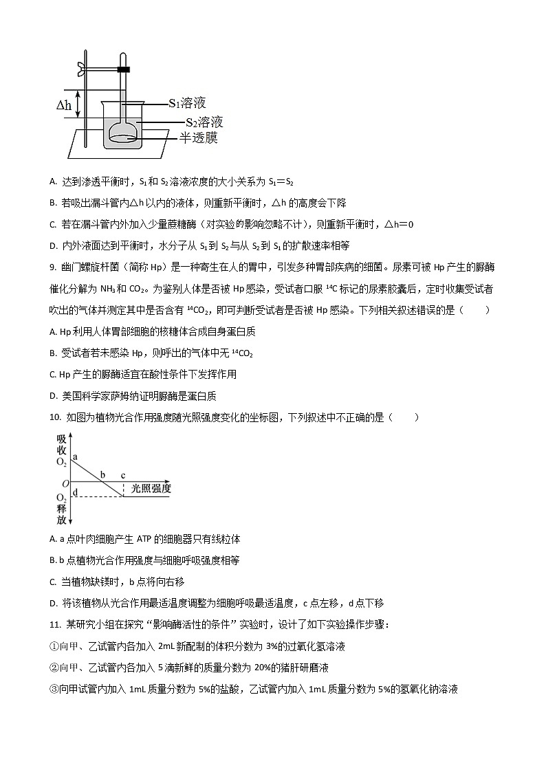 2022六安一中，阜阳一中，合肥八中等校高三上学期联考生物试题含解析03