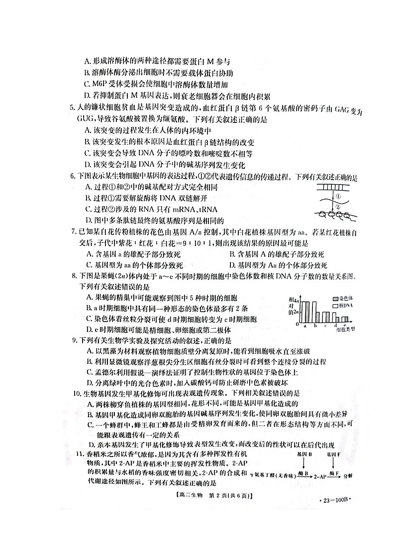 2023恩施州高中教育联盟高二上学期期中考试生物试题扫描版含答案02