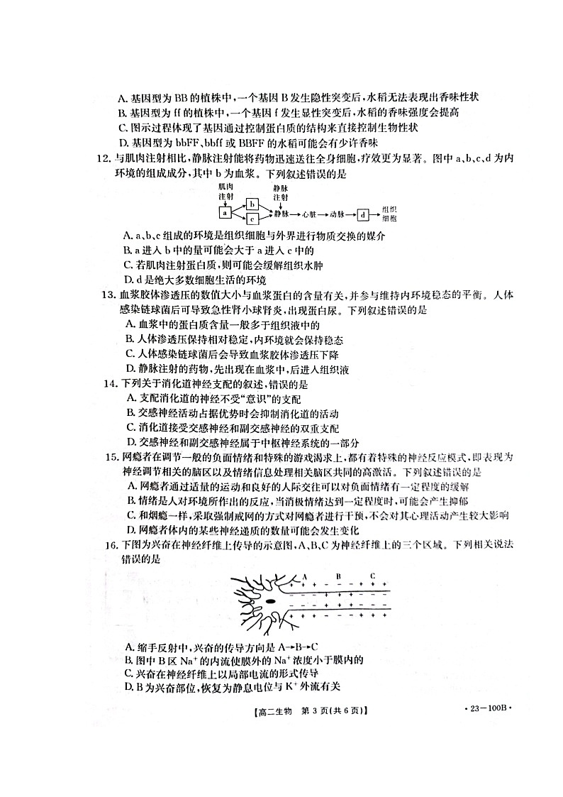 2023恩施州高中教育联盟高二上学期期中考试生物试题扫描版含答案03
